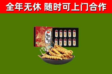 海陵回收冬虫夏草价格
